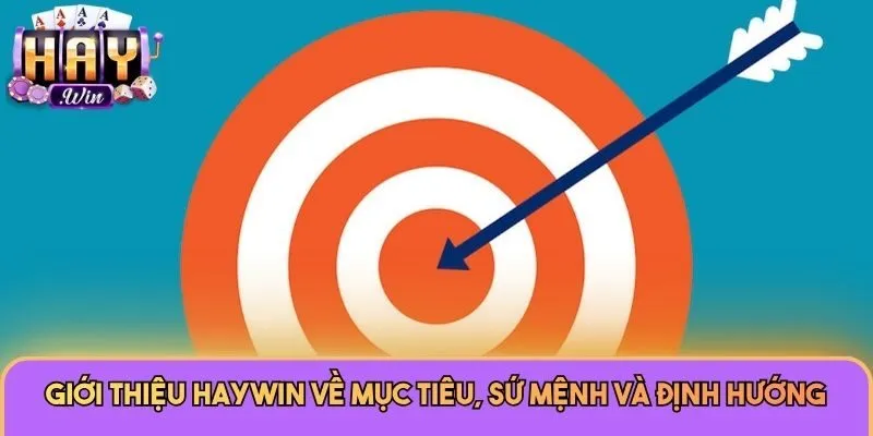 Giới thiệu Haywin về mục tiêu, sứ mệnh và định hướng